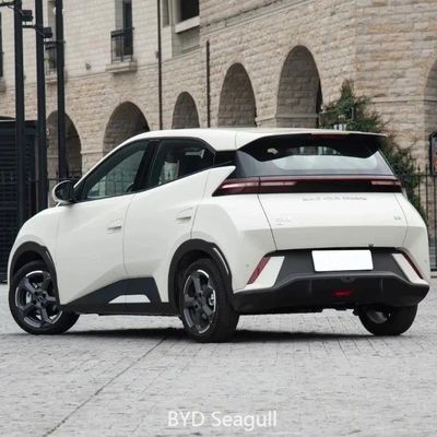 Type de direction d'assistance électrique personnalisation Byd Seagull Usine automobile Véhicules à énergie