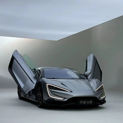 Système de freinage à disque avant arrière Dsic personnalisé pour Yang Wang U9 Super Car EV Electric