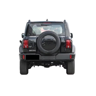 Tank 300 2024 2.0t Conqueror SUV voiture 5 sièges et service après-vente de guidage à distance