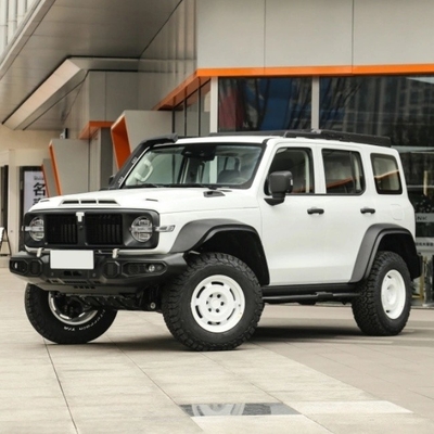 Réservoir d'essence 300 2023 modèle 2.0t Iron Rider 02 SUV Voiture avec système de freinage mécanique