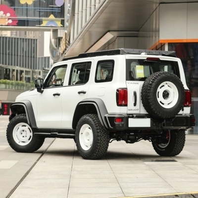 Réservoir d'essence 300 2023 modèle 2.0t Iron Rider 02 SUV Voiture avec système de freinage mécanique
