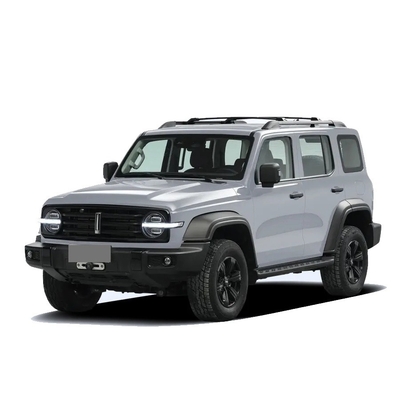 Chinese Tank 300 SUV avec 2.0t 227PS L4 8at Custom Model Car en couleur noire extérieure