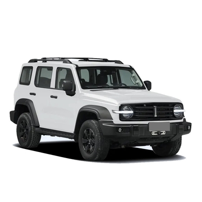 Chinese Tank 300 SUV avec 2.0t 227PS L4 8at Custom Model Car en couleur noire extérieure