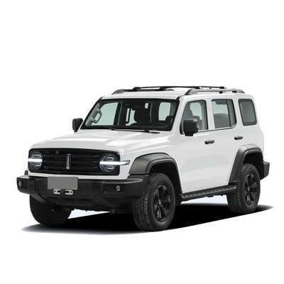 Chinese Tank 300 SUV avec 2.0t 227PS L4 8at Custom Model Car en couleur noire extérieure