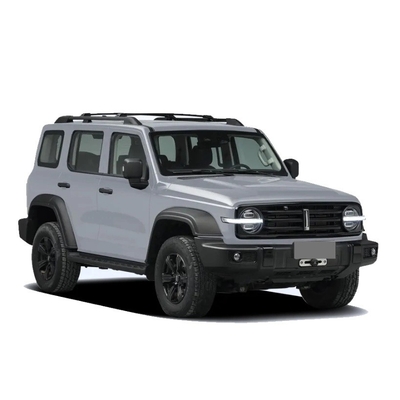 Chinese Tank 300 SUV avec 2.0t 227PS L4 8at Custom Model Car en couleur noire extérieure