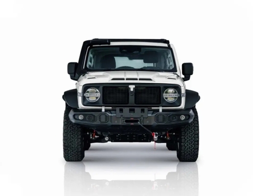 Chinese Tank 300 SUV avec 2.0t 227PS L4 8at Custom Model Car en couleur noire extérieure