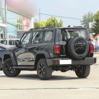 VUS à essence chinois 2023 Changcheng Tank 300 2.0t 02 avec système de freinage mécanique