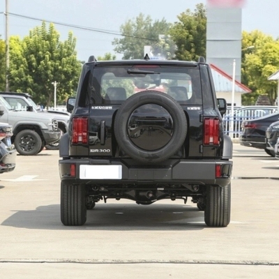 Auto Tank 300 2023 modèle 2.0t Cavalry 02 Voiture avec service après-vente à commande à distance