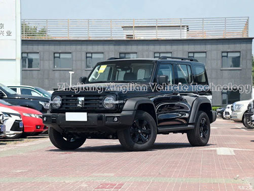 Tank 300 voiture chinoise 8 vitesse 227HP 5 places SUV à essence avec système de freinage mécanique