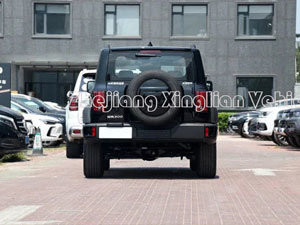 Tank Cyper 300 Grand mur voiture populaire véhicules tout-terrain en Selon le client premier