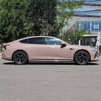 Vente directe de VUS 5 portes 5 places Les voitures électriques de luxe pour adultes Neta Aya 2023 401